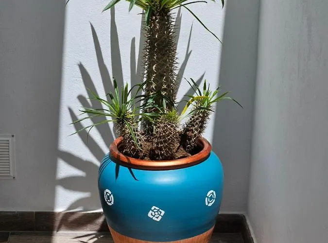 Casa Buenavista Agaete, En Pleno Casco Historico Hébergement de vacances
